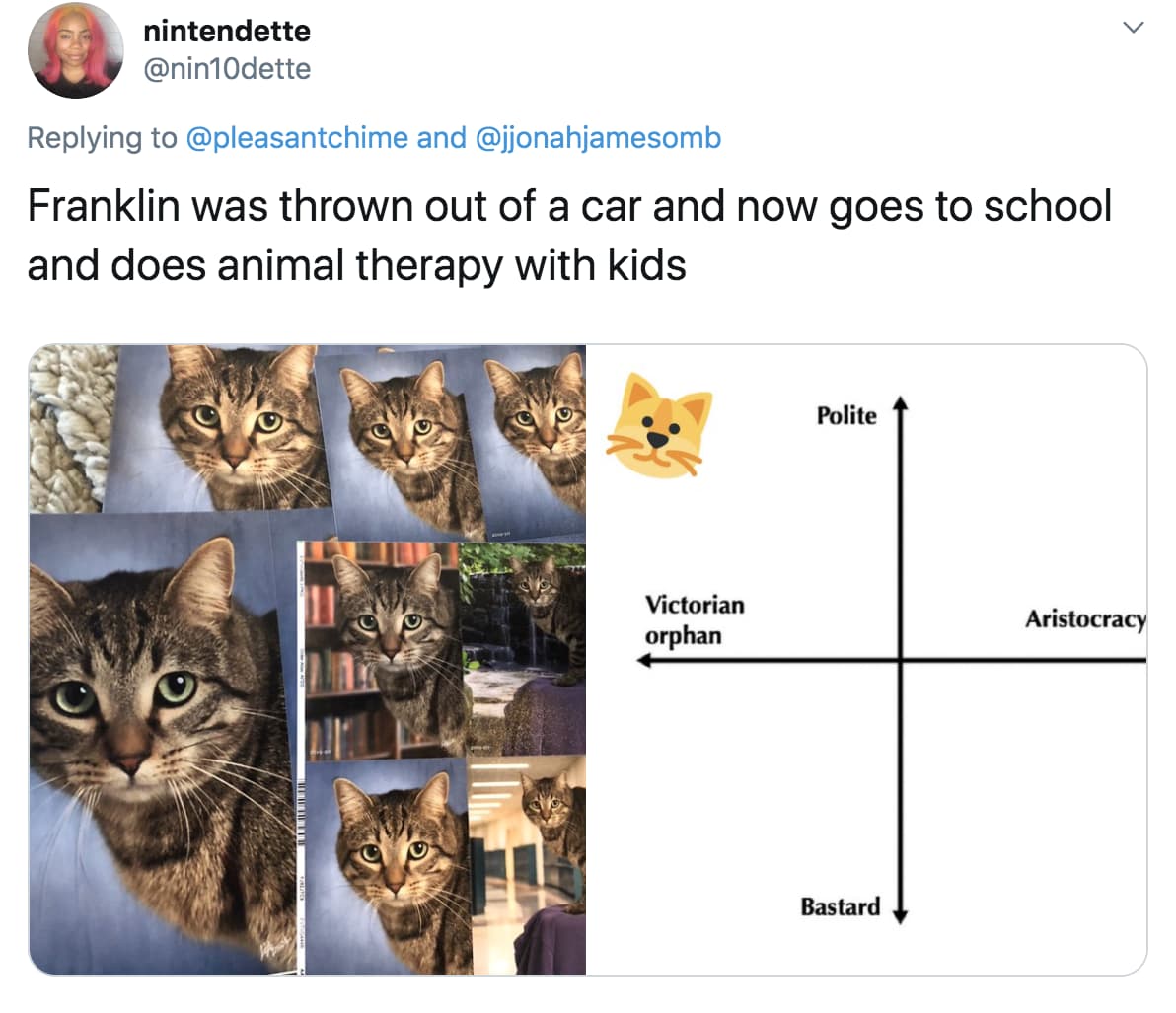 People Are Ranking Their Cats On A Hilarious 'Victorian Orphan' To