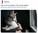 Meows Before Vows on Random People On Twitter Are Sharing Worst Things They Ever Did To Their Ex