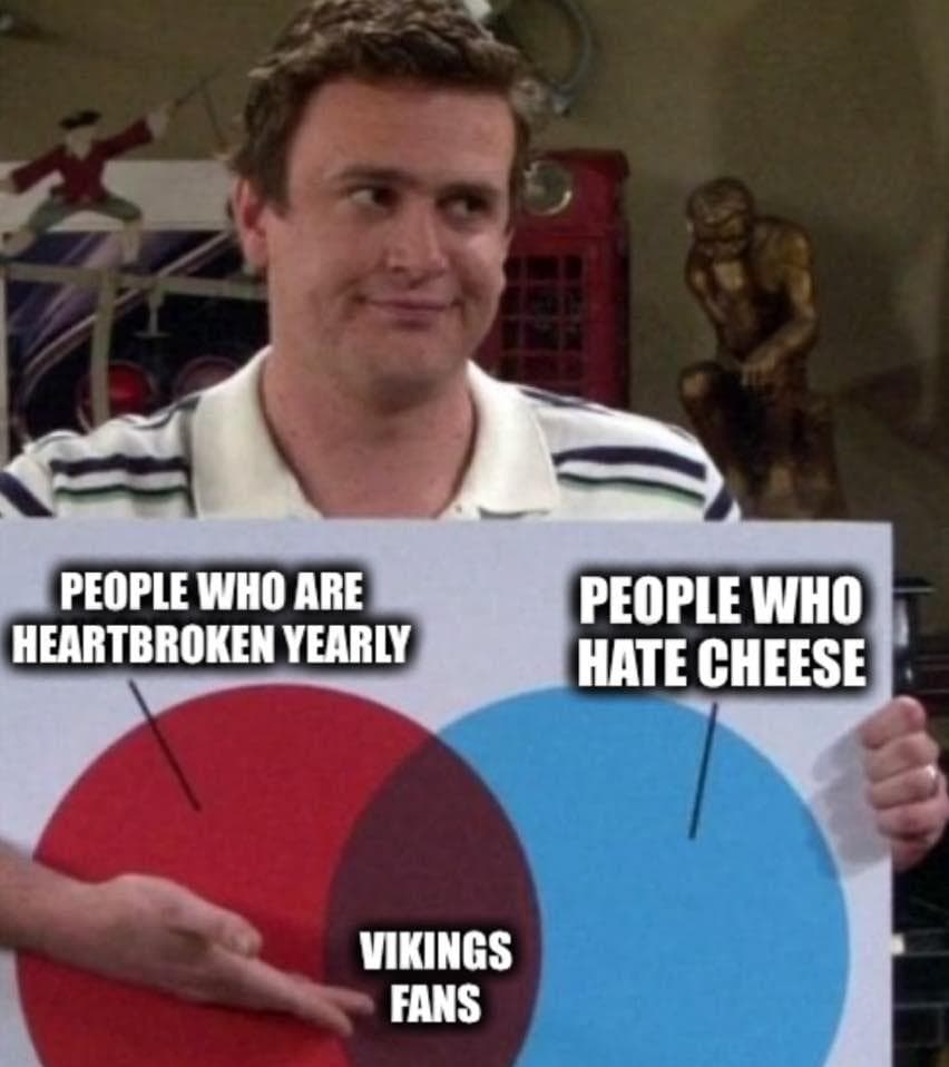 Vikings Fan Memes