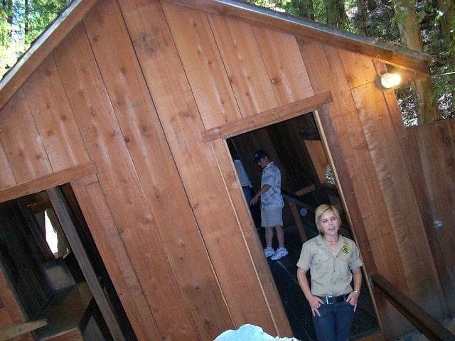 Image of Random Things about the Mystery Spot In Santa Cruz