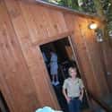 George Prather Opened The Attraction In 1941 After His Log Cabin Supposedly Slid Down A Hill  on Random Things about the Mystery Spot In Santa Cruz