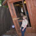 One Psychologist Claims The Entire Attraction Can Be Debunked As An Optical Illusion on Random Things about the Mystery Spot In Santa Cruz