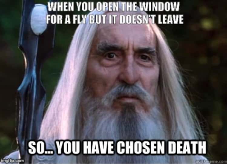 31 Of The Funniest Lord Of The Rings Memes In All Of Middle Earth