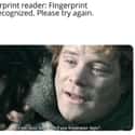 You Don't Mean That on Random Funniest 'Lord Of Rings' Memes In All Of Middle-earth