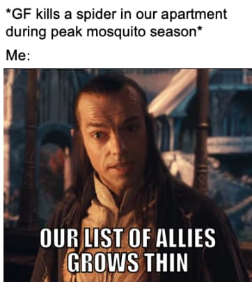 A Mosquito's Greatest Foe Is Gone on Random Funniest 'Lord Of Rings' Memes In All Of Middle-earth