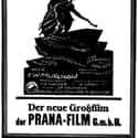 Prana Films, The Company That Produced 'Nosferatu,' Was Cofounded By A European Occultist on Random 'Nosferatu' Blatantly Defied Copyright Laws To Become An Illegal, Vampiric Cinematic Masterpiec
