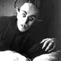 A Judge Ordered Every Copy Of ‘Nosferatu’ And Its Original Negative To Be Destroyed on Random 'Nosferatu' Blatantly Defied Copyright Laws To Become An Illegal, Vampiric Cinematic Masterpiec
