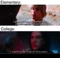 Ben Hates Higher Learning on Random Memes That Try To Make Sense Of 'Star Wars' Sequel Trilogy