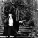 Hollywood’s ‘Dracula’ Starring Bela Lugosi Didn't Come Out Until 1931, Nine Years After ‘Nosferatu’ on Random 'Nosferatu' Blatantly Defied Copyright Laws To Become An Illegal, Vampiric Cinematic Masterpiec