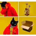 I Don't Know Why They Don't Make Cat Playgrounds Out Of Cardboard TBH on Random Super Relatable Memes About Struggles Of Being A Cat Owner