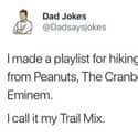 The Playlist Pun Is Too Impressive To Be Mad At on Random Hilarious Good Points On Twitter