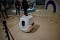 Yape on Random Coolest Robots We Ran Into at CES 2020