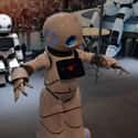 Canbot on Random Coolest Robots We Ran Into at CES 2020