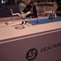 Leju on Random Coolest Robots We Ran Into at CES 2020