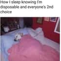 Sound Asleep on Random Funny And Sad Memes You'll Laugh At If You're Depressed