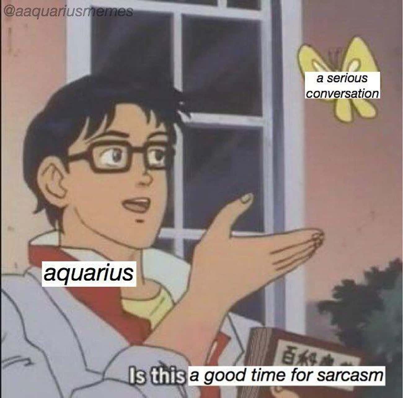 The Funniest Memes That Describe What It's Like To Be An Aquarius in 2020