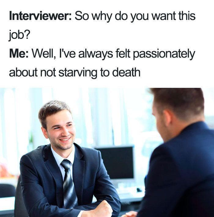 25 Job Hunting Memes That Are Sadly Relatable To Those Seeking Work   A Huge Passion Of Mine Photo U1