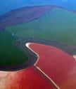 The Salt Ponds In The San Francisco Bay Are Colored By Salted Microorganisms on Random Brightly Colored Bodies Of Water Look Like They’re From A Seussian Dreamscape