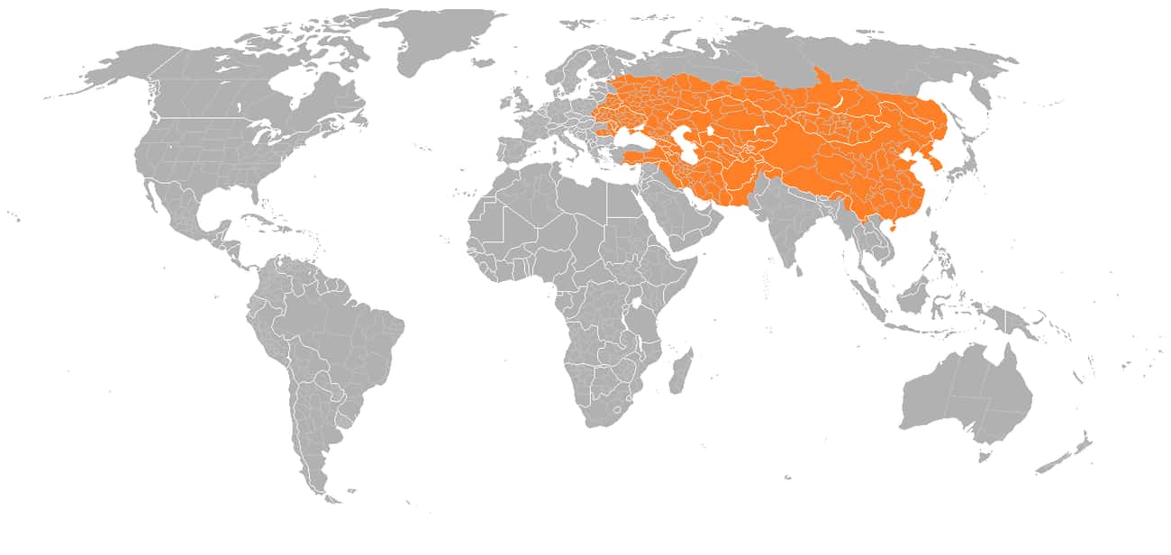 Orange: Roughly The Reach Of The Mongolian Empire In 1279