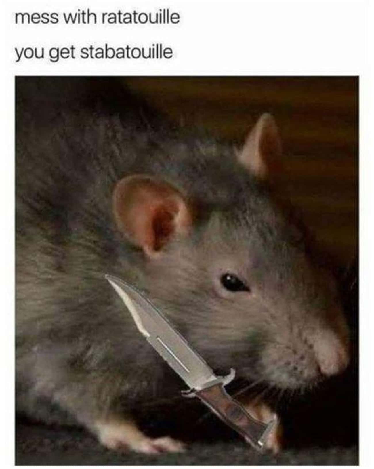 Наведи мышь. Мышь с ножом. Мышь с сигаретой. Мемы с крысами.