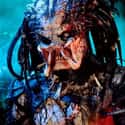 What the Hell on Random Best 'Predator' Quotes