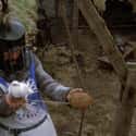 Coconuts Were Not, In Fact, Native To Britain on Random 'Monty Python and Holy Grail' Was Surprisingly Historically Accurat