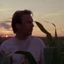 If You Build It on Random Most Memorable 'Field of Dreams' Quotes