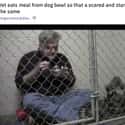 Lunch Buddy on Random Amazing Pet Owners Who Are Definitely Going To Heaven When They Die