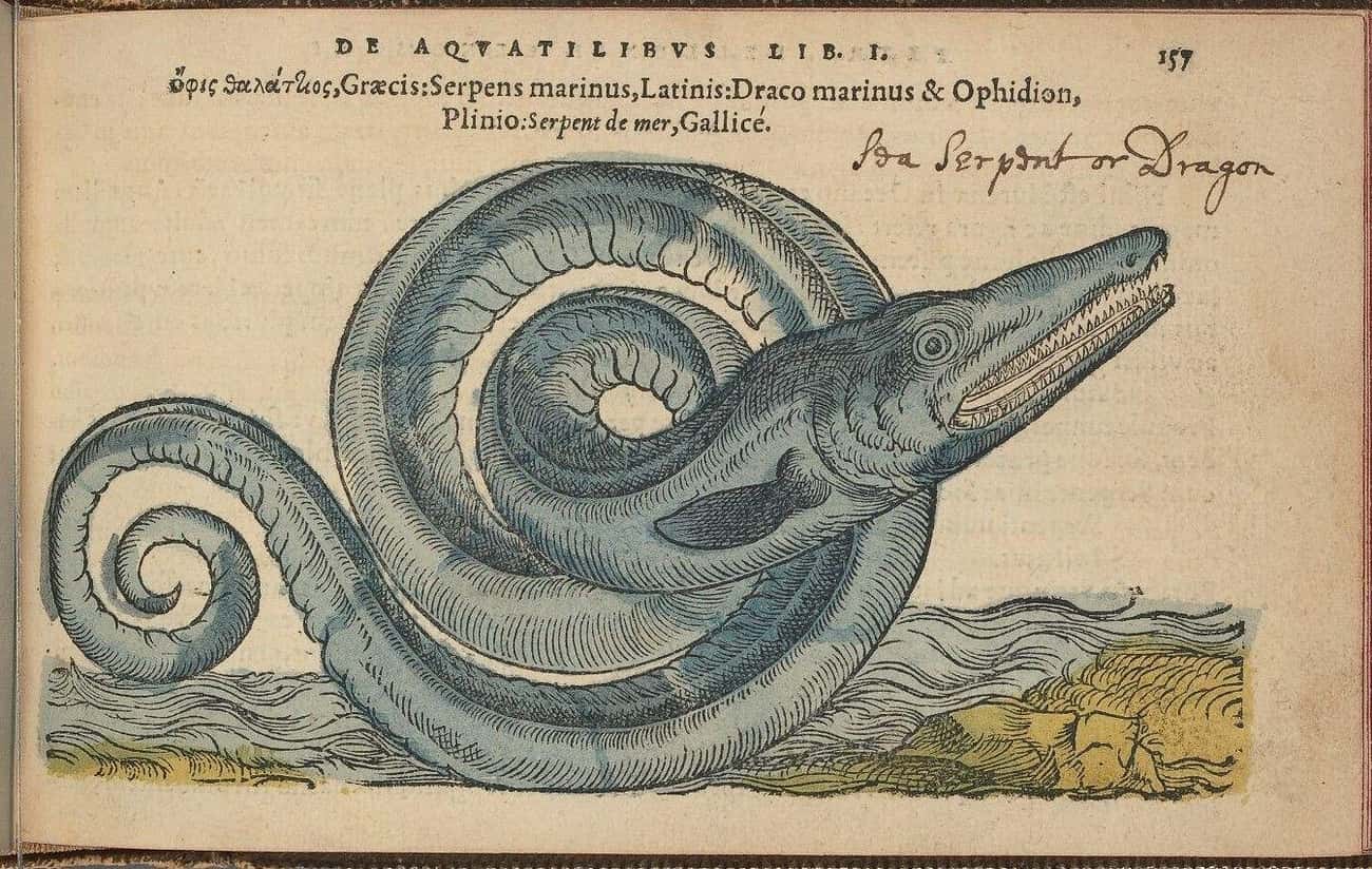 Sea Serpent гравюра