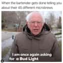 Trusty Ol Bud Light on Random Best Bernie Memes We Could Find On The Internet