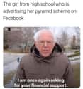 You Can Be A Business Owner! on Random Best Bernie Memes We Could Find On The Internet