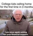 Hey Mom! Listen... on Random Best Bernie Memes We Could Find On The Internet