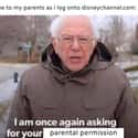Please Use Your Parent's Permission on Random Best Bernie Memes We Could Find On The Internet