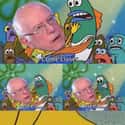 What Do You Need?? on Random Best Bernie Memes We Could Find On The Internet