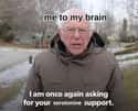 Serotonin Please on Random Best Bernie Memes We Could Find On The Internet