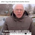 Gmail Takes Care Of You on Random Best Bernie Memes We Could Find On The Internet