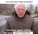 Mother's Maiden Name on Random Best Bernie Memes We Could Find On The Internet