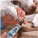 The Cordless Dremel 7300 Is A Stress Free Alternative To Pet Nail Clippers on Random Best Pet Products You Can Buy On Amazon Right Now