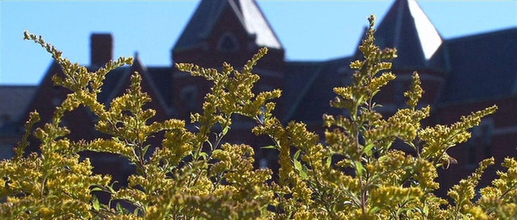 It's Partially Based On The 'Satanic Panic' Of The '80s