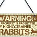 Spruce Up Your Rabbit's Cage With A Cute Hanging Sign on Random Best Pet Products You Can Buy On Amazon Right Now