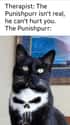 Punishpurr on Random Random Cat Memes For Cat Lovers