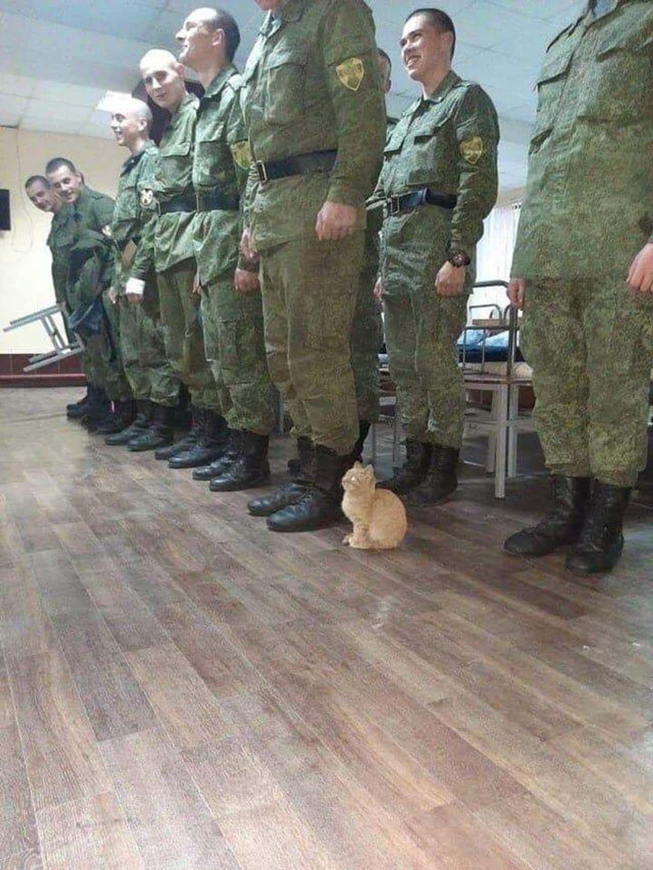 Sgt. Snuggles Reporting For Duty