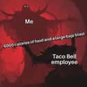 Thank You, My Liege on Random Memes That Capture Intense Love People Have For Taco Bell