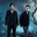 The Vampire Diaries - Season 8 on Random Best Seasons of 'The Vampire Diaries'