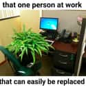 You Work Here? on Random Memes That Will Only Make Sense If You've Worked In An Office Before