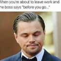 Yes? on Random Memes That Will Only Make Sense If You've Worked In An Office Before