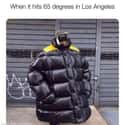 Over 60 Degrees? on Random Hilarious Memes Only Los Angeles Natives Will Understand