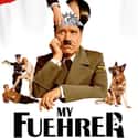 My Führer on Random Best German Language Movies On Netflix