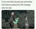 Read The Fine Print  on Random Funny Memes About Sakura Being Useless in Naruto