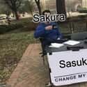 Forever Faithful  on Random Funny Memes About Sakura Being Useless in Naruto